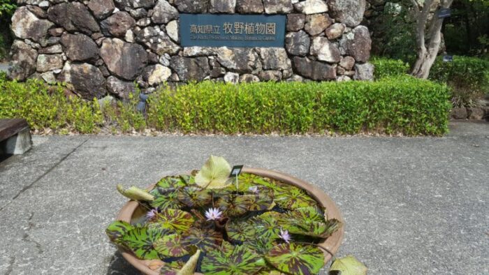 牧野植物園 正門