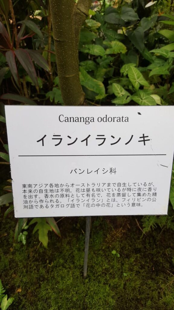 高知県立牧野植物園 温室