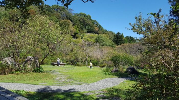 高知県立牧野植物園 芝生広場