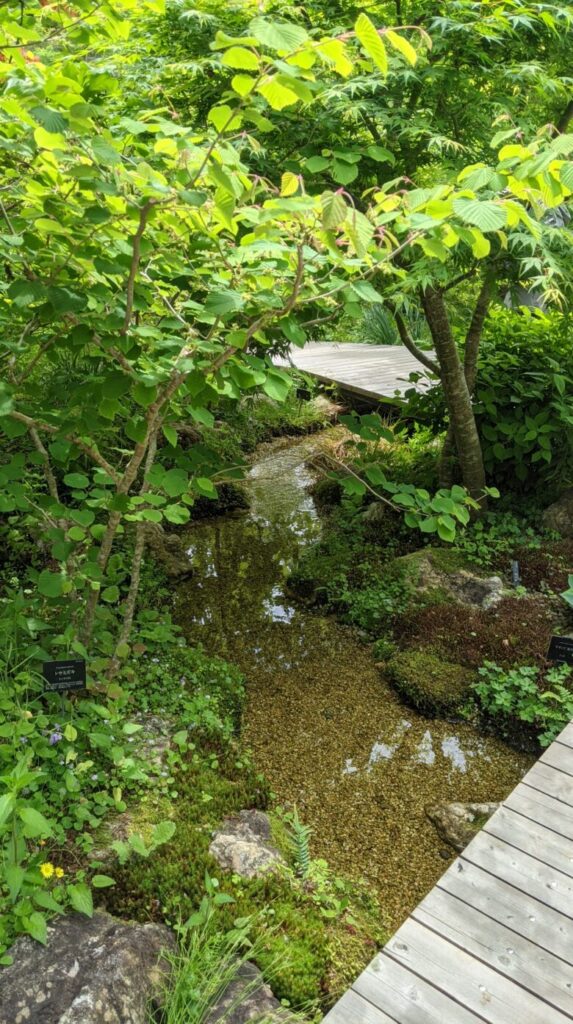 高知県立牧野植物園