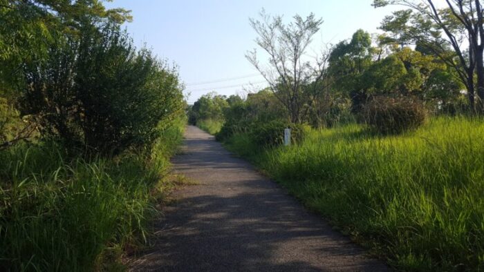 高知県立美術館 近く 公園