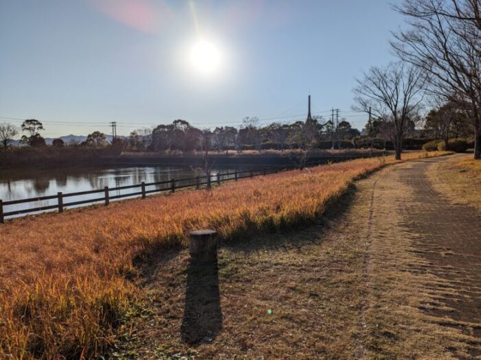 高知県立美術館 近く 公園