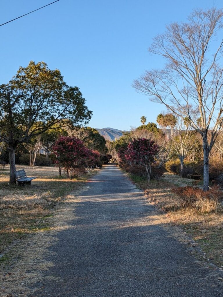 高知県立美術館 近く 公園