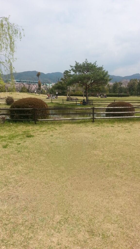 鏡野公園の桜の画像