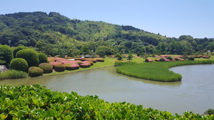 南楽園花菖蒲まつり